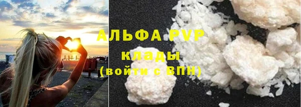 СК Аркадак