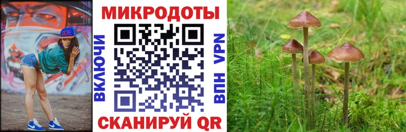 Купить где  Серафимович  Галлюциногенные грибы Magic Shrooms 